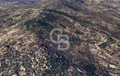 Yatağan'da 1.253 m² Yatırımlık Tarla - Kaçırılmayacak Fırsat!