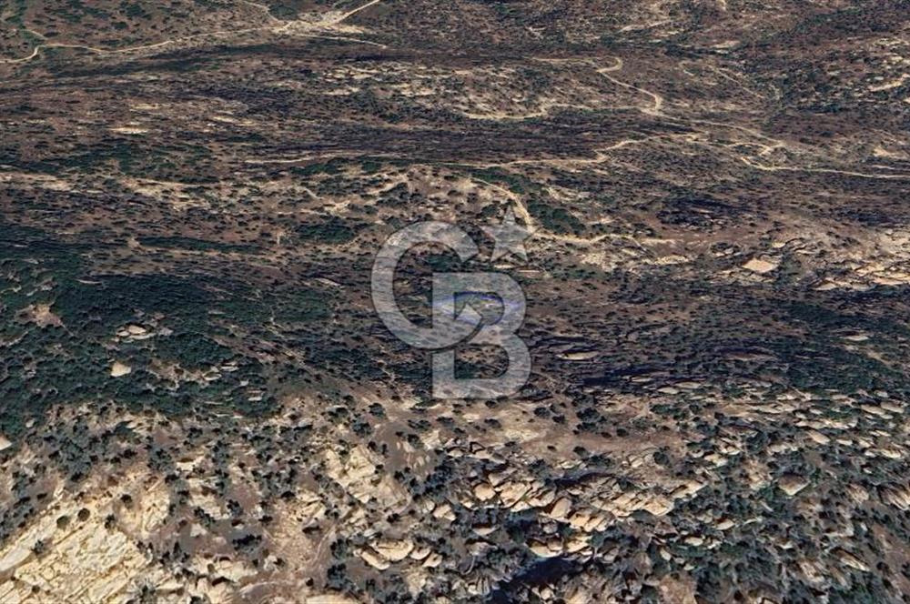 Yatağan'da 1.253 m² Yatırımlık Tarla - Kaçırılmayacak Fırsat!