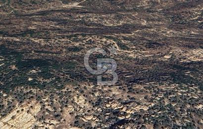 Yatağan'da 1.253 m² Yatırımlık Tarla - Kaçırılmayacak Fırsat!