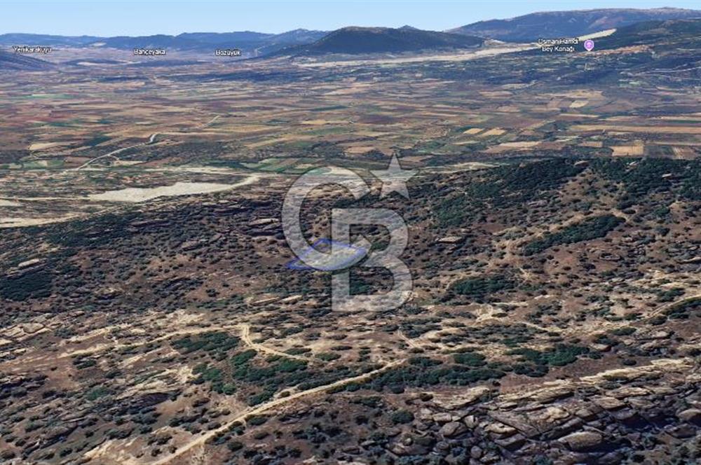 Yatağan'da 1.253 m² Yatırımlık Tarla - Kaçırılmayacak Fırsat!