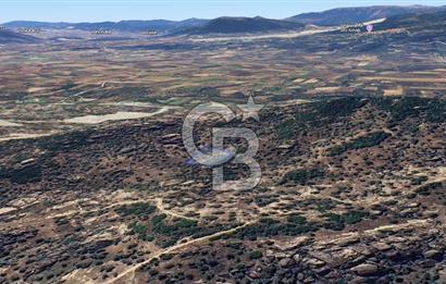 Yatağan'da 1.253 m² Yatırımlık Tarla - Kaçırılmayacak Fırsat!