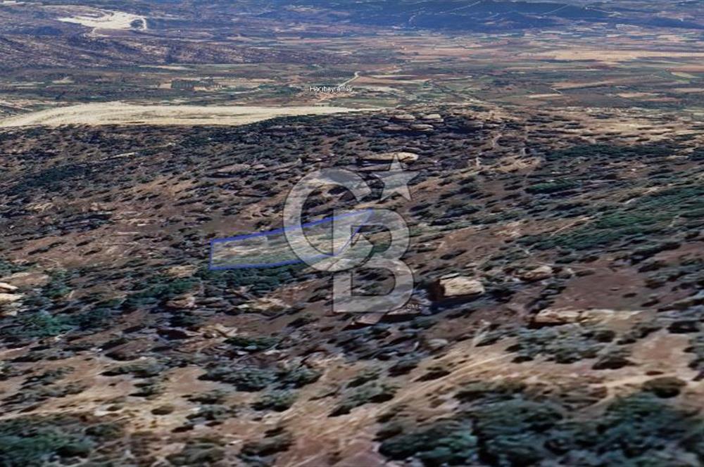 Yatağan'da 1.253 m² Yatırımlık Tarla - Kaçırılmayacak Fırsat!