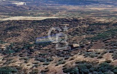 Yatağan'da 1.253 m² Yatırımlık Tarla - Kaçırılmayacak Fırsat!