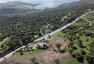 Foça’da Deniz Manzaralı Parseller | Merkeze 5 DK | Yolu Var - 4 - 338352