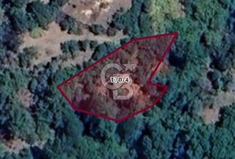 CB LEADER DAN SATILIK BAHÇE - 4 - 338484