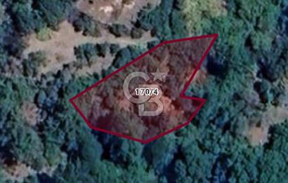 CB LEADER DAN SATILIK BAHÇE