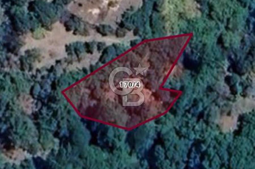 CB LEADER DAN SATILIK BAHÇE