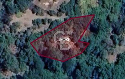 CB LEADER DAN SATILIK BAHÇE