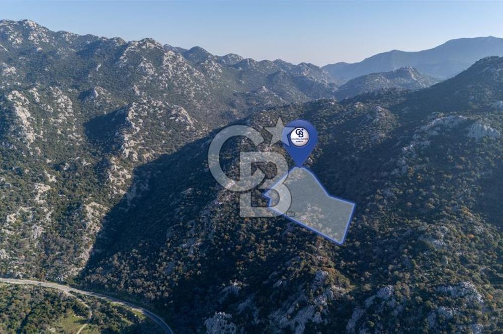 Marmaris Selimiyede Değerlenen Bölgede Yatırımlık Tarla