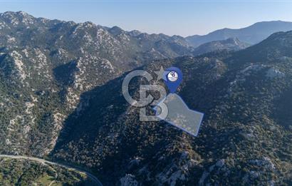 Marmaris Selimiyede Değerlenen Bölgede Yatırımlık Tarla