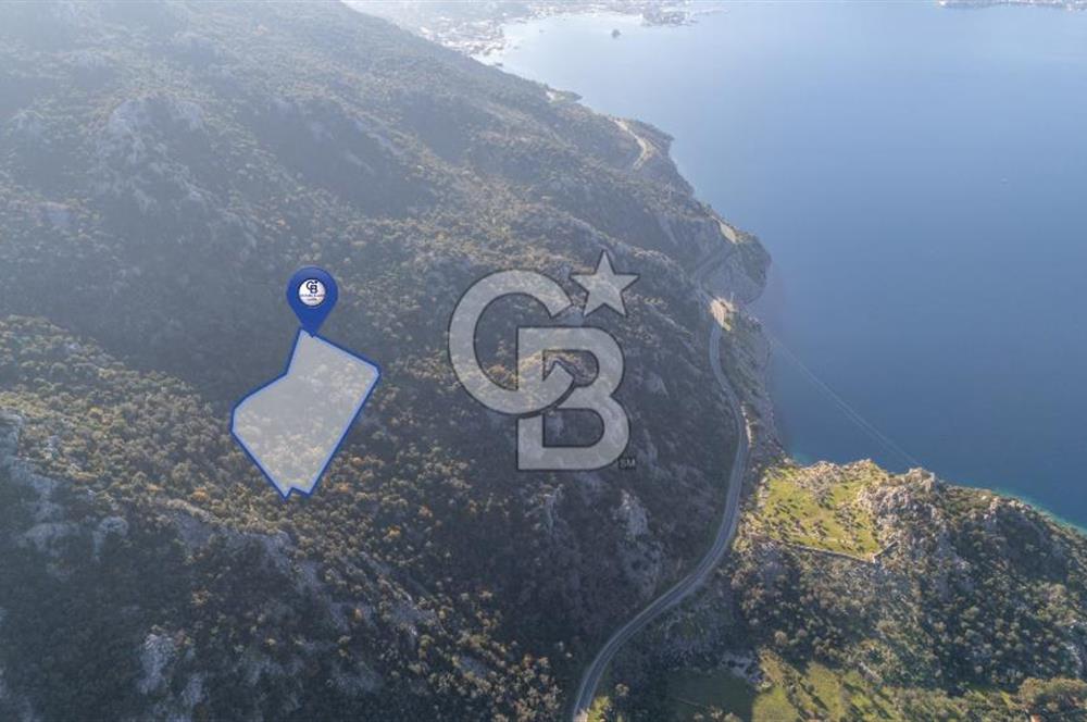 Marmaris Selimiyede Değerlenen Bölgede Yatırımlık Tarla