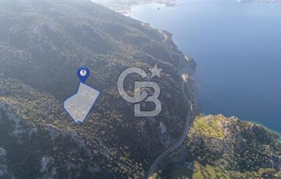 Marmaris Selimiyede Değerlenen Bölgede Yatırımlık Tarla