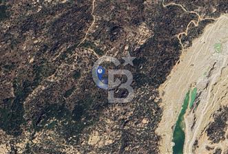 Yatağan'da 1.253 m² Yatırımlık Tarla - Kaçırılmayacak Fırsat! - 8 - 338360