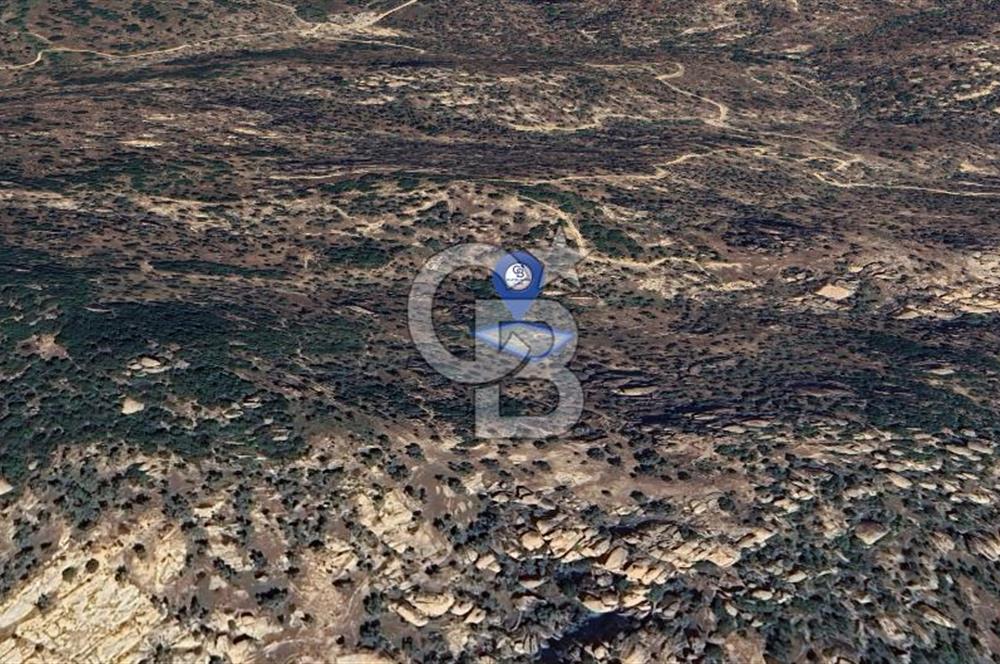 Yatağan'da 1.253 m² Yatırımlık Tarla - Kaçırılmayacak Fırsat!