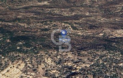 Yatağan'da 1.253 m² Yatırımlık Tarla - Kaçırılmayacak Fırsat!