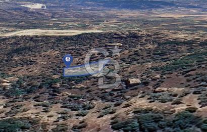 Yatağan'da 1.253 m² Yatırımlık Tarla - Kaçırılmayacak Fırsat!