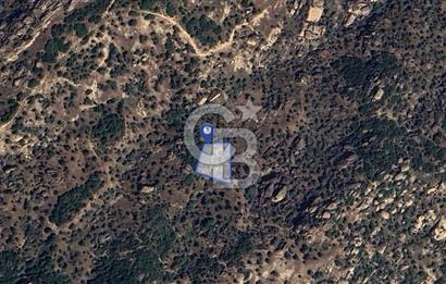 Yatağan'da 1.253 m² Yatırımlık Tarla - Kaçırılmayacak Fırsat!