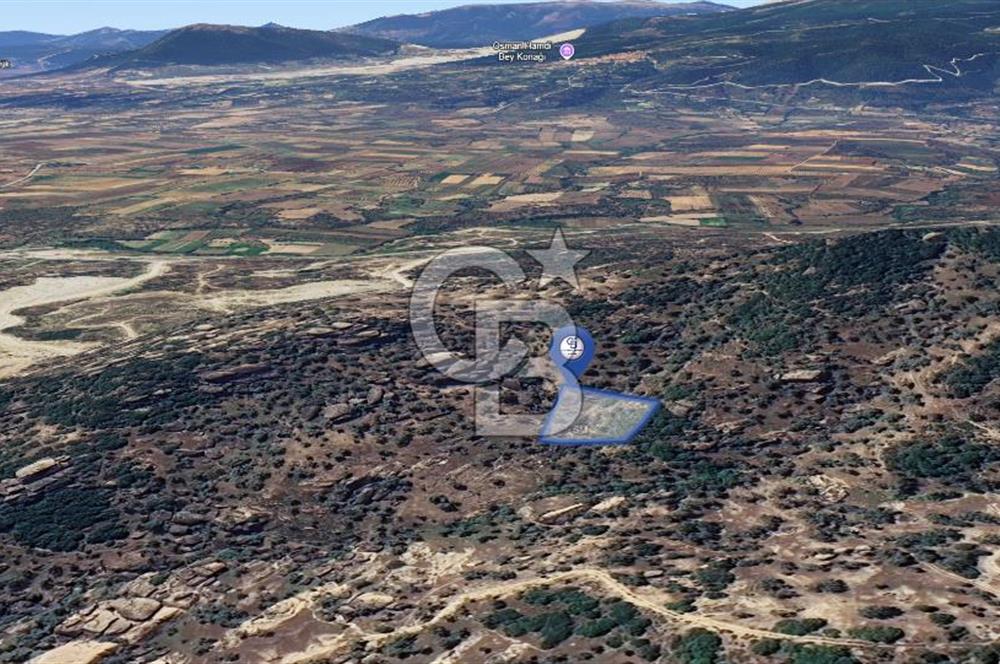 Yatağan'da 1.253 m² Yatırımlık Tarla - Kaçırılmayacak Fırsat!