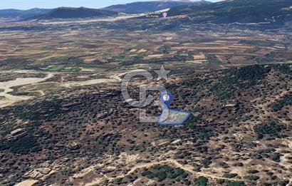 Yatağan'da 1.253 m² Yatırımlık Tarla - Kaçırılmayacak Fırsat!