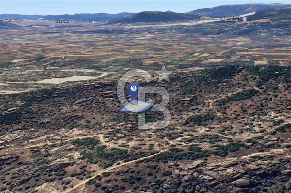 Yatağan'da 1.253 m² Yatırımlık Tarla - Kaçırılmayacak Fırsat!