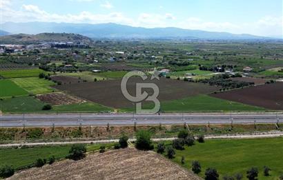 İZMİR-ESKİ FOÇA DUBLE YOLU ÜZERİNDE SATILIK FIRSAT TARLA