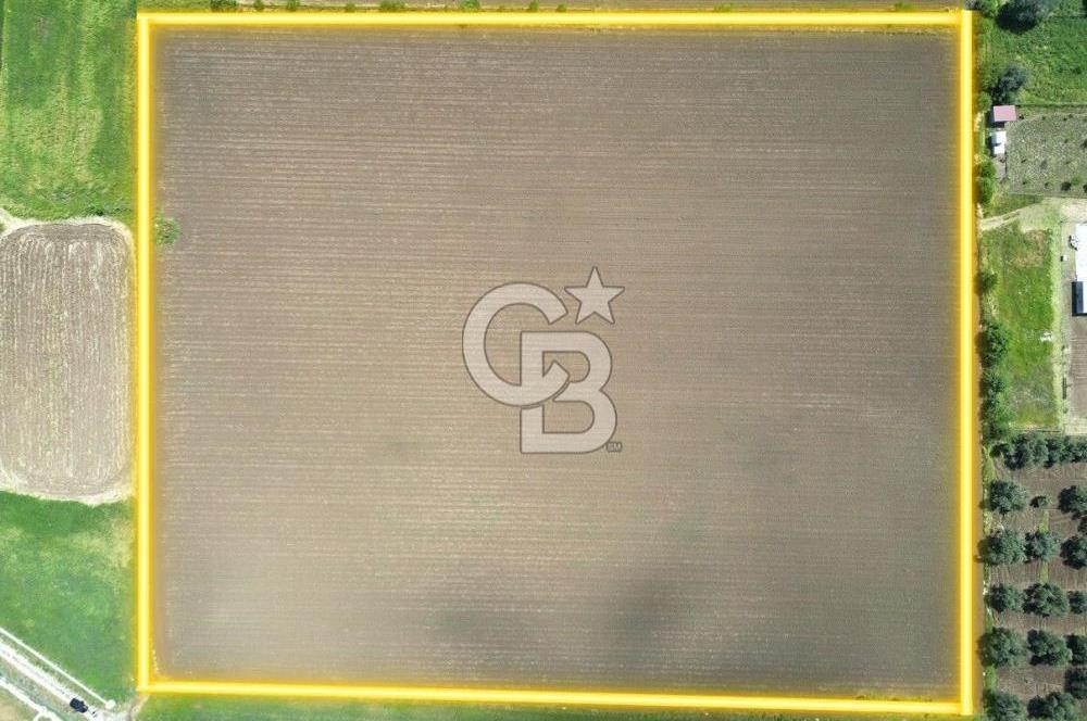 İZMİR-ESKİ FOÇA DUBLE YOLU ÜZERİNDE SATILIK FIRSAT TARLA