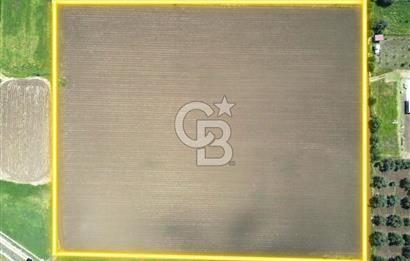 İZMİR-ESKİ FOÇA DUBLE YOLU ÜZERİNDE SATILIK FIRSAT TARLA