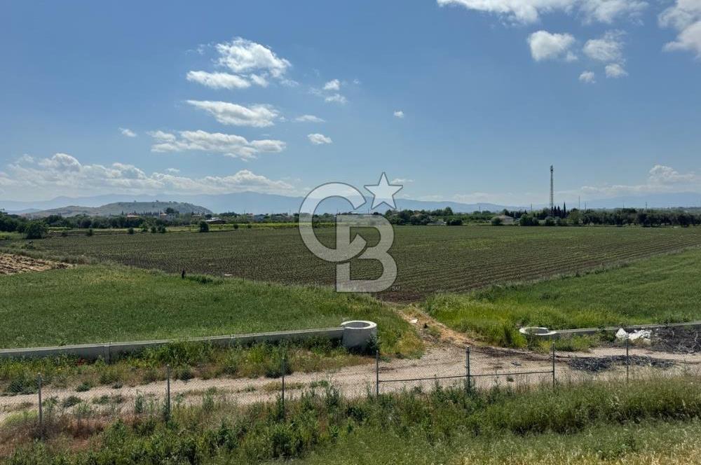 İZMİR-ESKİ FOÇA DUBLE YOLU ÜZERİNDE SATILIK FIRSAT TARLA