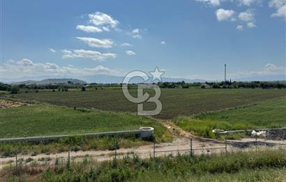 İZMİR-ESKİ FOÇA DUBLE YOLU ÜZERİNDE SATILIK FIRSAT TARLA
