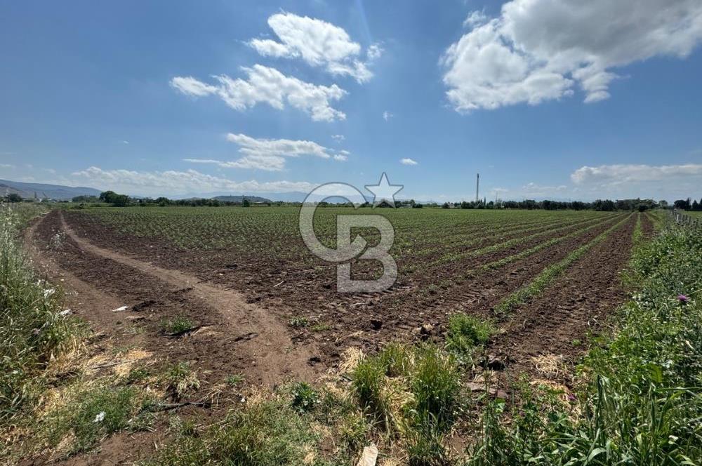 İZMİR-ESKİ FOÇA DUBLE YOLU ÜZERİNDE SATILIK FIRSAT TARLA
