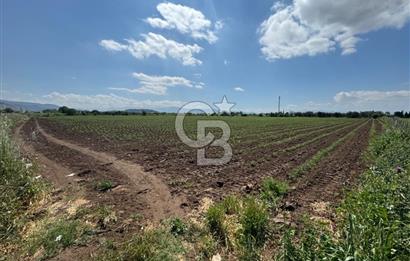 İZMİR-ESKİ FOÇA DUBLE YOLU ÜZERİNDE SATILIK FIRSAT TARLA