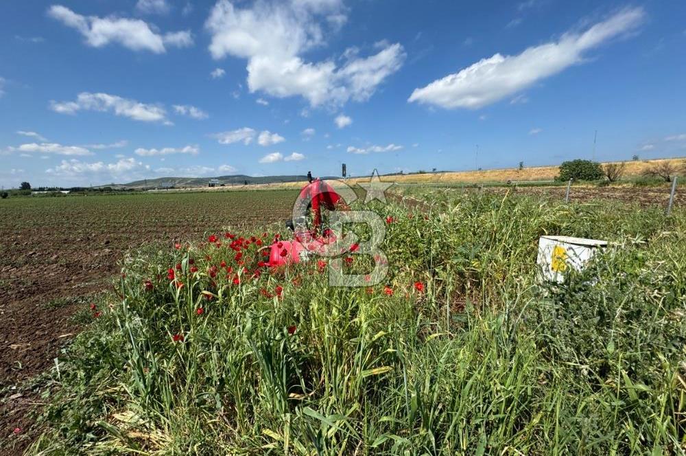 İZMİR-ESKİ FOÇA DUBLE YOLU ÜZERİNDE SATILIK FIRSAT TARLA