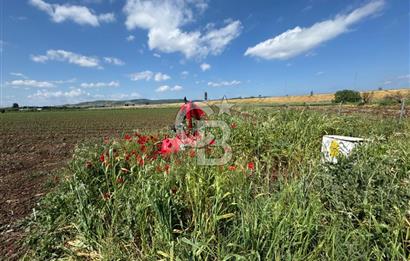 İZMİR-ESKİ FOÇA DUBLE YOLU ÜZERİNDE SATILIK FIRSAT TARLA