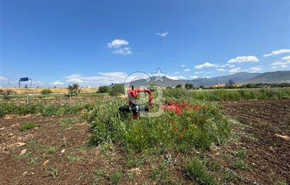 İZMİR-ESKİ FOÇA DUBLE YOLU ÜZERİNDE SATILIK FIRSAT TARLA