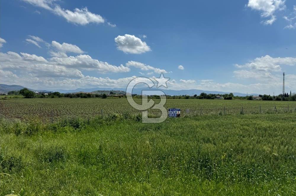 İZMİR-ESKİ FOÇA DUBLE YOLU ÜZERİNDE SATILIK FIRSAT TARLA