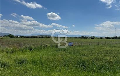 İZMİR-ESKİ FOÇA DUBLE YOLU ÜZERİNDE SATILIK FIRSAT TARLA