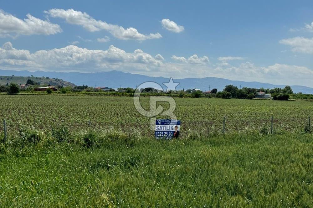 İZMİR-ESKİ FOÇA DUBLE YOLU ÜZERİNDE SATILIK FIRSAT TARLA