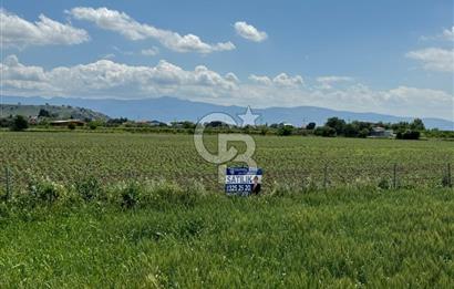İZMİR-ESKİ FOÇA DUBLE YOLU ÜZERİNDE SATILIK FIRSAT TARLA