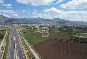 İZMİR-ESKİ FOÇA DUBLE YOLU ÜZERİNDE SATILIK FIRSAT TARLA - 1 - 338541