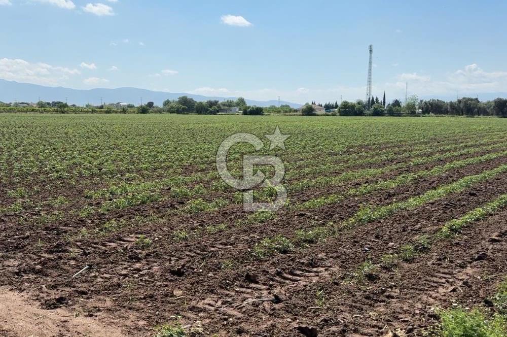 İZMİR-ESKİ FOÇA DUBLE YOLU ÜZERİNDE SATILIK FIRSAT TARLA