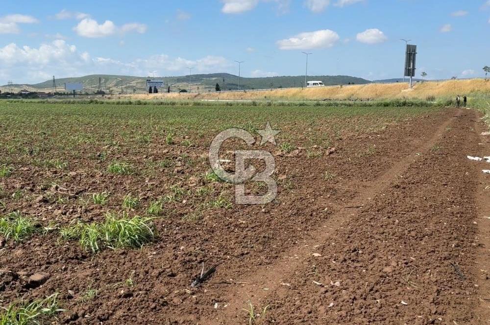 İZMİR-ESKİ FOÇA DUBLE YOLU ÜZERİNDE SATILIK FIRSAT TARLA