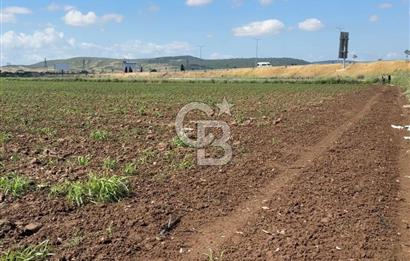 İZMİR-ESKİ FOÇA DUBLE YOLU ÜZERİNDE SATILIK FIRSAT TARLA