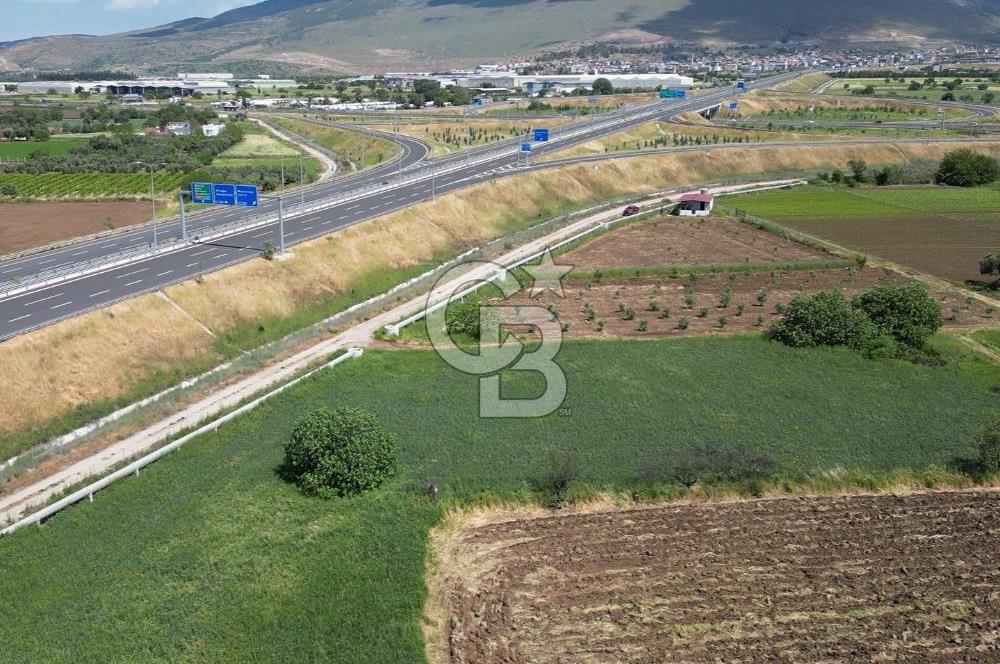 İZMİR-ESKİ FOÇA DUBLE YOLU ÜZERİNDE SATILIK FIRSAT TARLA