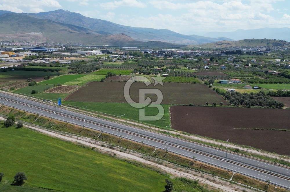 İZMİR-ESKİ FOÇA DUBLE YOLU ÜZERİNDE SATILIK FIRSAT TARLA