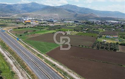 İZMİR-ESKİ FOÇA DUBLE YOLU ÜZERİNDE SATILIK FIRSAT TARLA