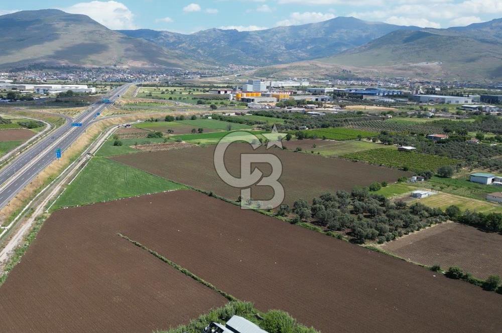 İZMİR-ESKİ FOÇA DUBLE YOLU ÜZERİNDE SATILIK FIRSAT TARLA