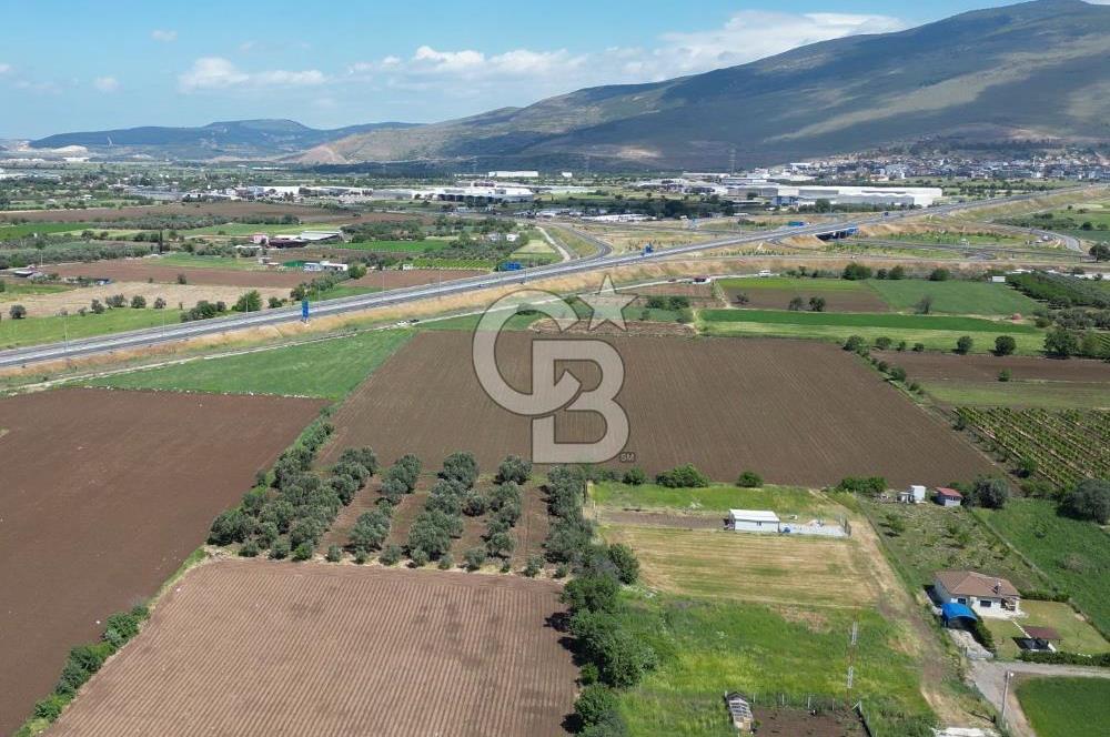 İZMİR-ESKİ FOÇA DUBLE YOLU ÜZERİNDE SATILIK FIRSAT TARLA
