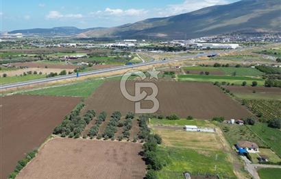 İZMİR-ESKİ FOÇA DUBLE YOLU ÜZERİNDE SATILIK FIRSAT TARLA