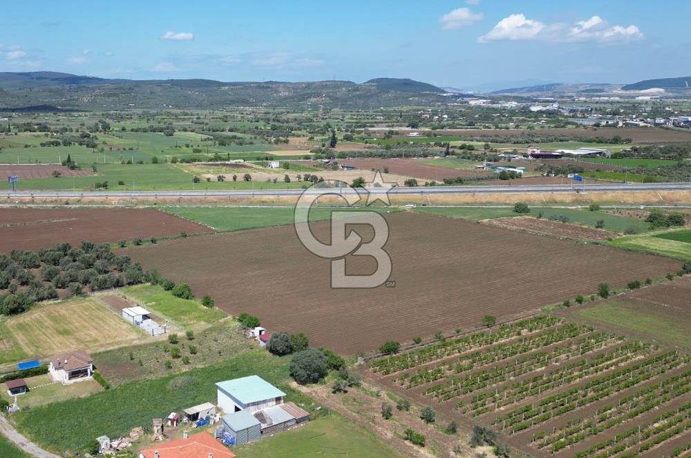 İZMİR-ESKİ FOÇA DUBLE YOLU ÜZERİNDE SATILIK FIRSAT TARLA