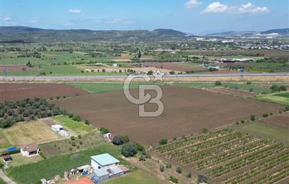 İZMİR-ESKİ FOÇA DUBLE YOLU ÜZERİNDE SATILIK FIRSAT TARLA